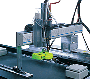 robotic system